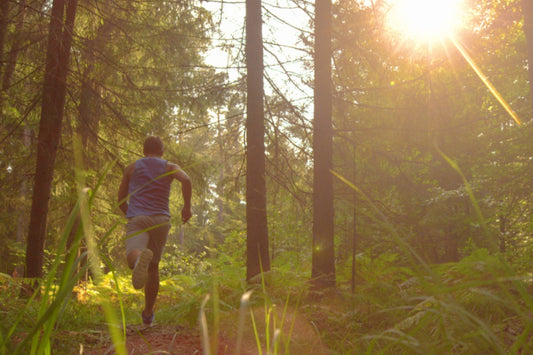 Run Present, Run Free: The Power of Guided Mindful Running